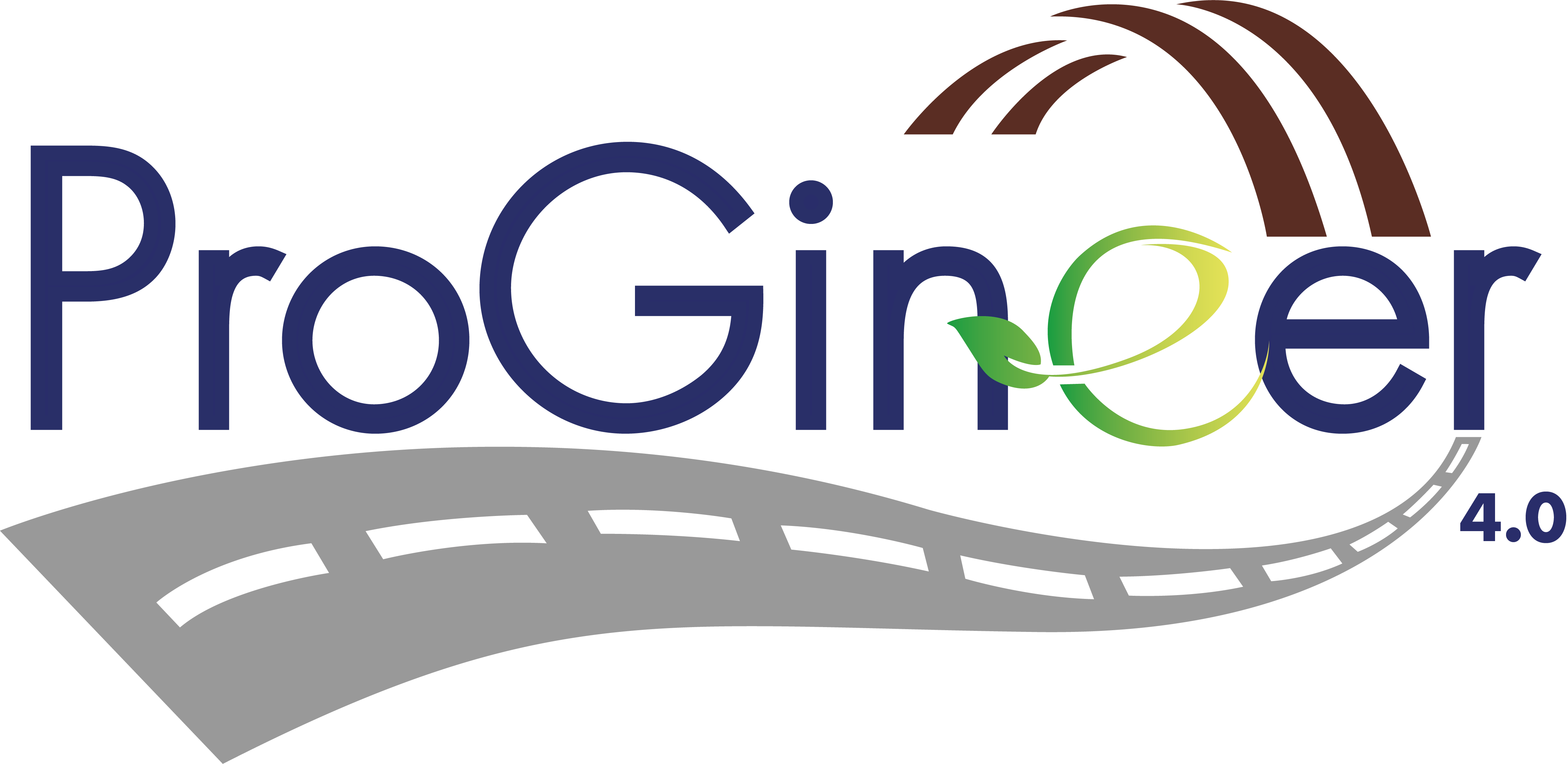 PROGINEER 4.0 S.R.L.S.